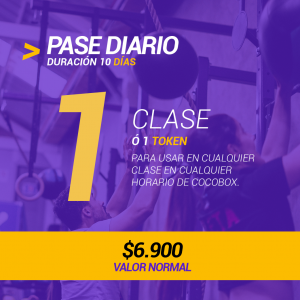 1 Clase Pase Diario AM/PM