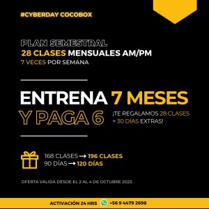 Plan Cyber Semestral 28 clases clases mensuales AM/PM