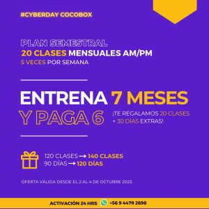 Plan Cyber Semestral 20 clases clases mensuales AM/PM