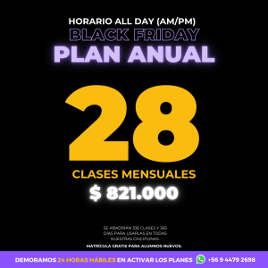 Black Friday / PLAN ANUAL 28 Clases Mensuales AM/PM - ALL DAY